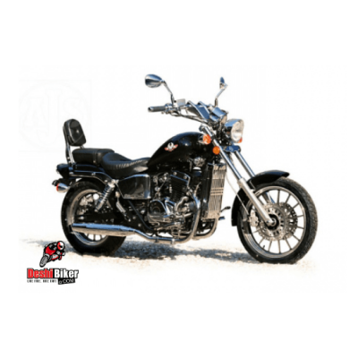 Regal Raptor Stellar Price in BD