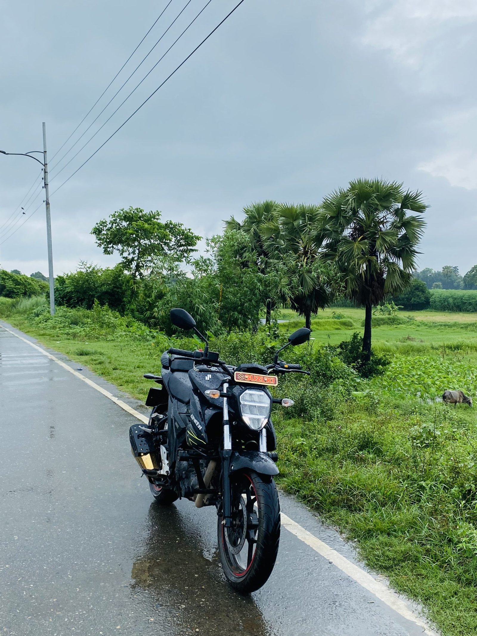 Suzuki Gixxer Fi Disc