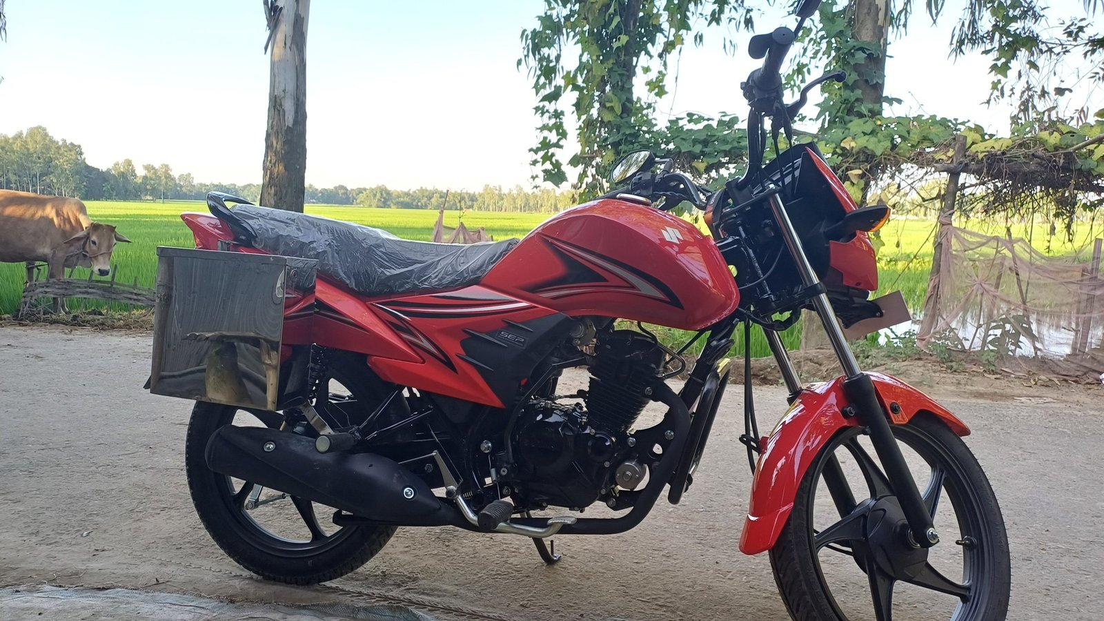 inbound6897312493056935791